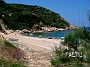 0308A paltsi